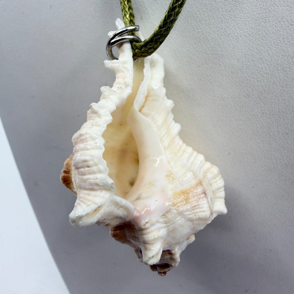Natural Seashell Pendant Necklace Boho Coastal Beach Jewelry Statement Accessory
